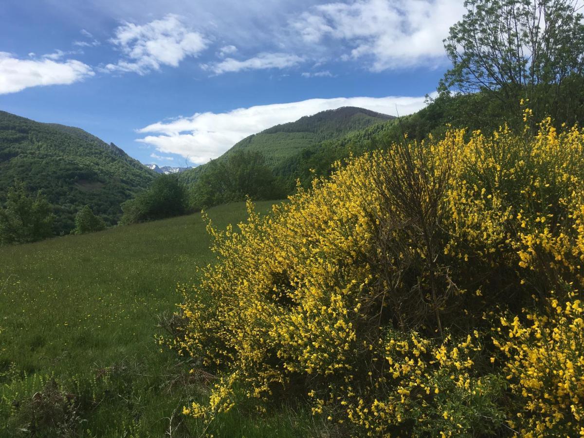 Les Songes Du Chene Hotel Augirein Bagian luar foto